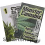 Auto Amnesia Feminised